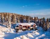 Cosy apartments close to the nature!